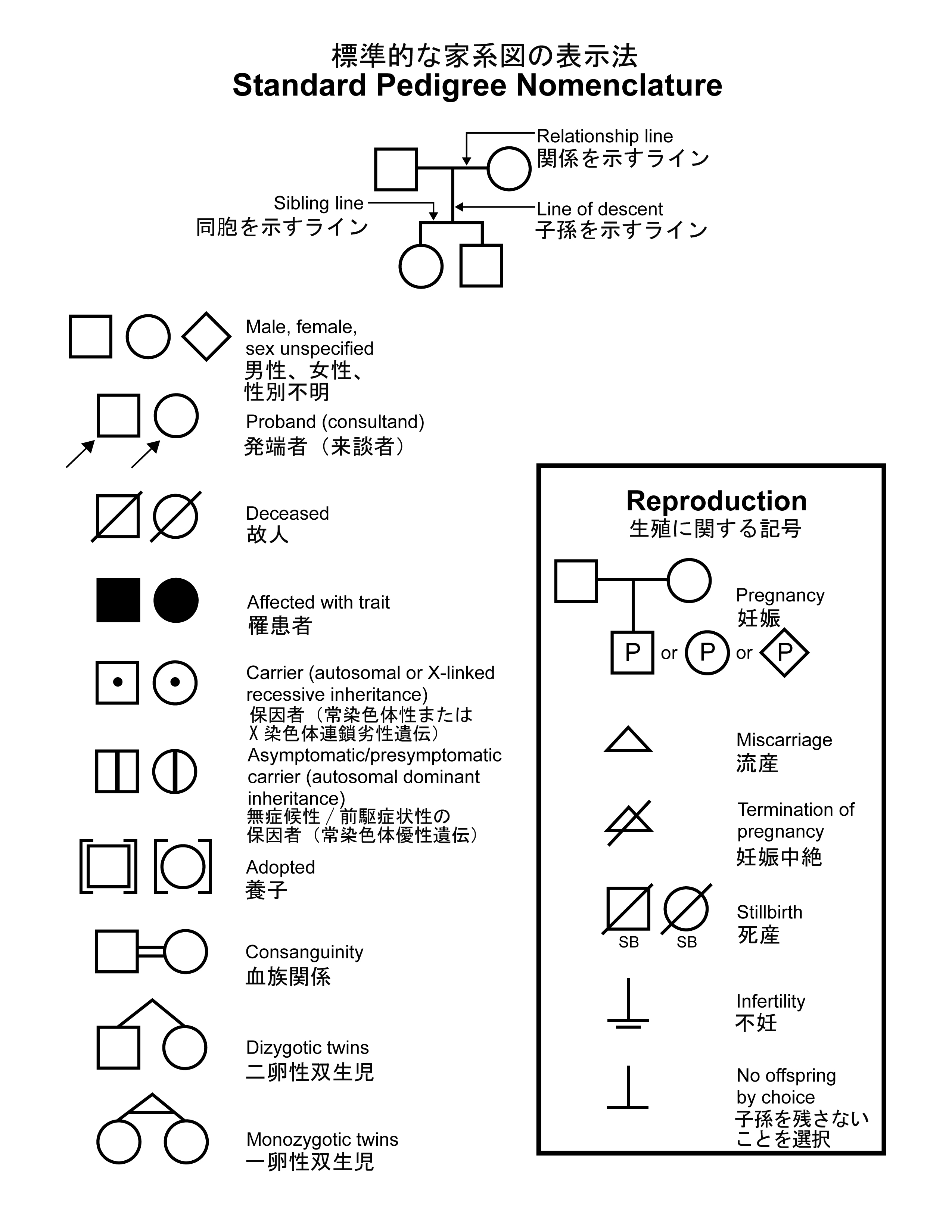 がん情報サイト がん情報各論 医療専門家向け がんの遺伝学的リスク評価とカウンセリング Pdq Reg